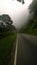 Let\'s continue down the path through the fog
