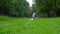 Let`s play together concept. Caucasian blond child boy walk and run with his two dogs Jack Russell Terrier by park in