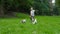 Let`s play together concept. Caucasian blond child boy walk and run with his two dogs Jack Russell Terrier by park in