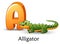 Letter A is for Alligator cartoon alphabet