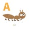 Letter A Ant Insect Zoo alphabet. English abc with animals Education cards for kids White background Flat design