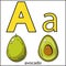 The letter A, avocado. Fruit alphabet.