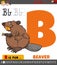 Letter B from alphabet with cartoon beaver