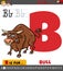 Letter B from alphabet with cartoon bull animal