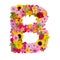 Letter B alphabet with flower ABC concept type as logo isolated