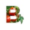 Letter B made of fresh fruit. B lettering