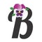 Letter B with single pansy flower white, purple, lilac.