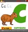 Letter C from alphabet with cartoon capybara animal character