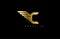 Letter C Bold Strong Wings Shape Gold Logo