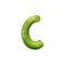 Letter C isolated sign, tropical kiwi fruit