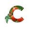 Letter C made of fresh fruit. C lettering