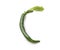 Letter C made from green chili peppers and salad alphabetic ABC letters
