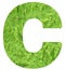 Letter c with texture of fern leaves, font Helvetica Word