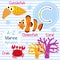 Letter C tracing. Crab. Coral. Clownfish. Cuttlefish. Marine alphabet