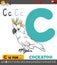 Letter C worksheet with cartoon cockatoo bird
