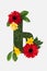 Letter from cyrillic alphabet of green grass with bright red gerberas, yellow daffodils and leaves isolated on white.