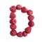 The letter D of the english alphabet of red ripe raspberries