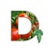 Letter D made of fresh fruit. D lettering