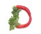 letter D from red chili pepper and green herb cook book, parsley letter recipe