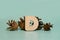 Letter D. A wooden letter of the English alphabet and four pine cones