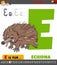 Letter E from alphabet with cartoon echidna animal