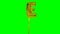 Letter E from alphabet helium gold balloon floating on green screen -
