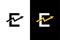 Letter E with chart arrow up concept. Very suitable in various business purposes, also for icon, symbol, logo.