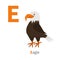 Letter E. Eagle. Big beak. Beautiful Exotic bird icon. Baby animal collection. Zoo alphabet. English abc. Cute cartoon funny chara