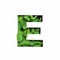 Letter E of English alphabet of green mint natural leafs and cut paper isolated on white. Leaves font