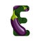 Letter E with green leaves and eggplant