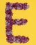 The letter E is lined with lilac flowers on a yellow background. For lettering, composing words.