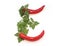 letter E from red chili pepper and green herbs, parsley letter for herb cook book, recipe