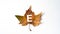 letter e stamped on green and yelllow autumn leaf, on  background