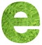 Letter e with texture of fern leaves, font Helvetica Word