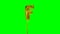 Letter F from alphabet helium gold balloon floating on green screen -
