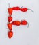Letter F alphabet made with Ghost pepper Bhoot jolokia over white background