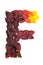 Letter F of colorful autumn leaves. Character F mades of fall foliage.