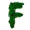 Letter F of the English alphabet made from green stabilized moss, isolated on white background