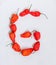 Letter G alphabet made with Ghost pepper Bhoot jolokia over white background
