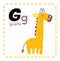 Letter G. Funny Alphabet for young children. Learning English for kids concept with a font in black capital letters in