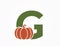 letter g with pumpkin. creative vegetable and organic food alphabet logo. harvest, agriculture and halloween symbol
