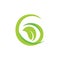 Letter g spiral green leaf natural symbol logo vector