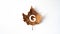 letter g stamped on brown and yelllow autumn leaf, on  background
