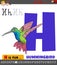 Letter H from alphabet with cartoon hummingbird bird