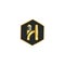 letter H logo gold colour