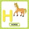 Letter H uppercase with cute cartoon horse or pony isolated on white background. Funny colorful flashcard Zoo and animals