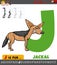 Letter J from alphabet with cartoon jackal animal character