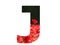 Letter J of the alphabet made with a red poppy sticking out above the field of poppies with a dark background