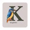 Letter K with kingfisher decor on the square card. Watercolor illustration. Forest nature ABC alphabet element for study