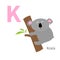 Letter K Koala Zoo alphabet. English abc with animals Education cards for kids White background Flat design